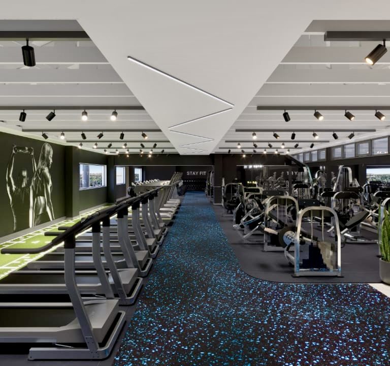 Gym Equipment 2